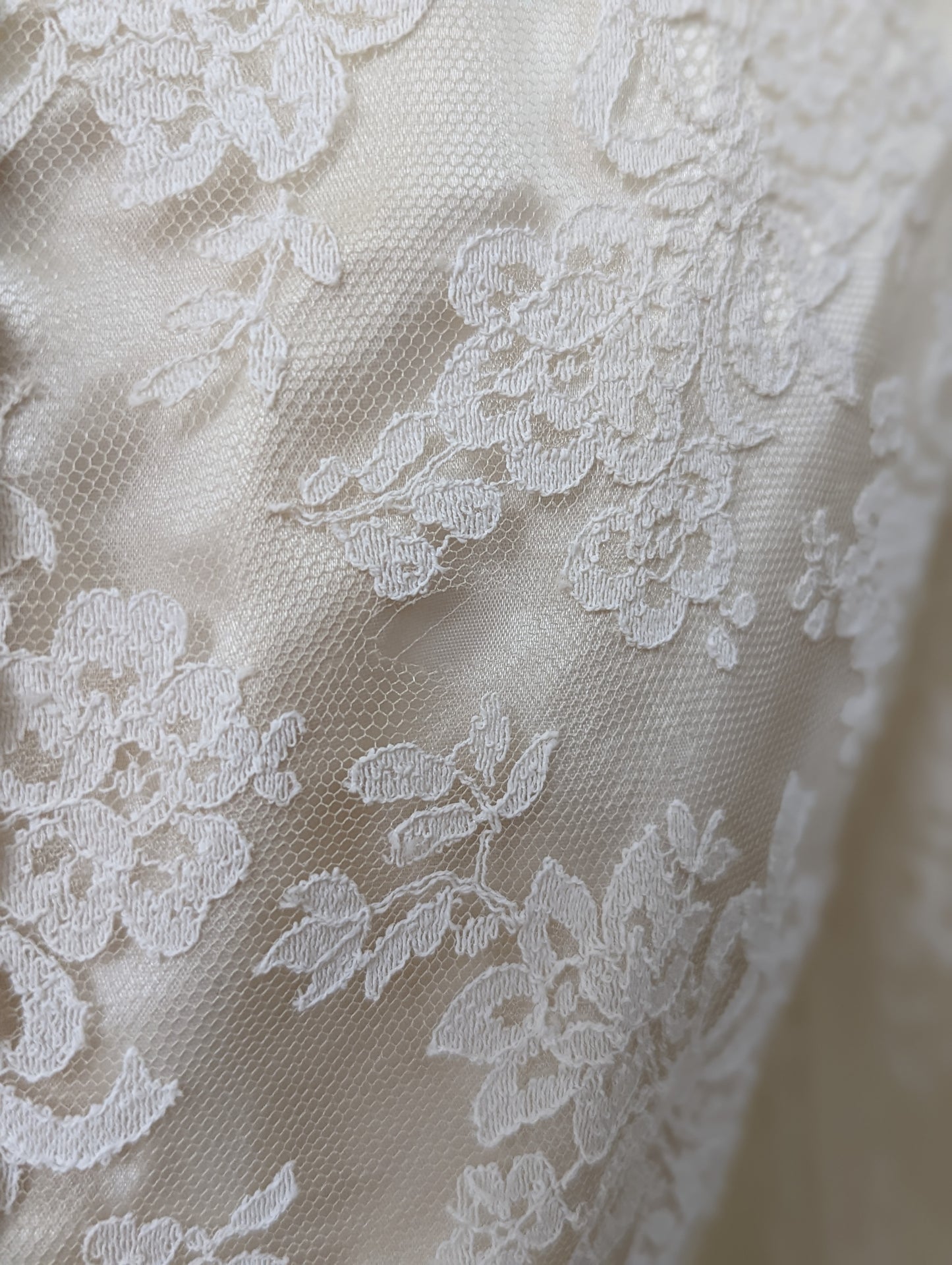 1954 Chantilly Lace and Tulle Long Sleeved Princess Style Wedding Dress in Soft White