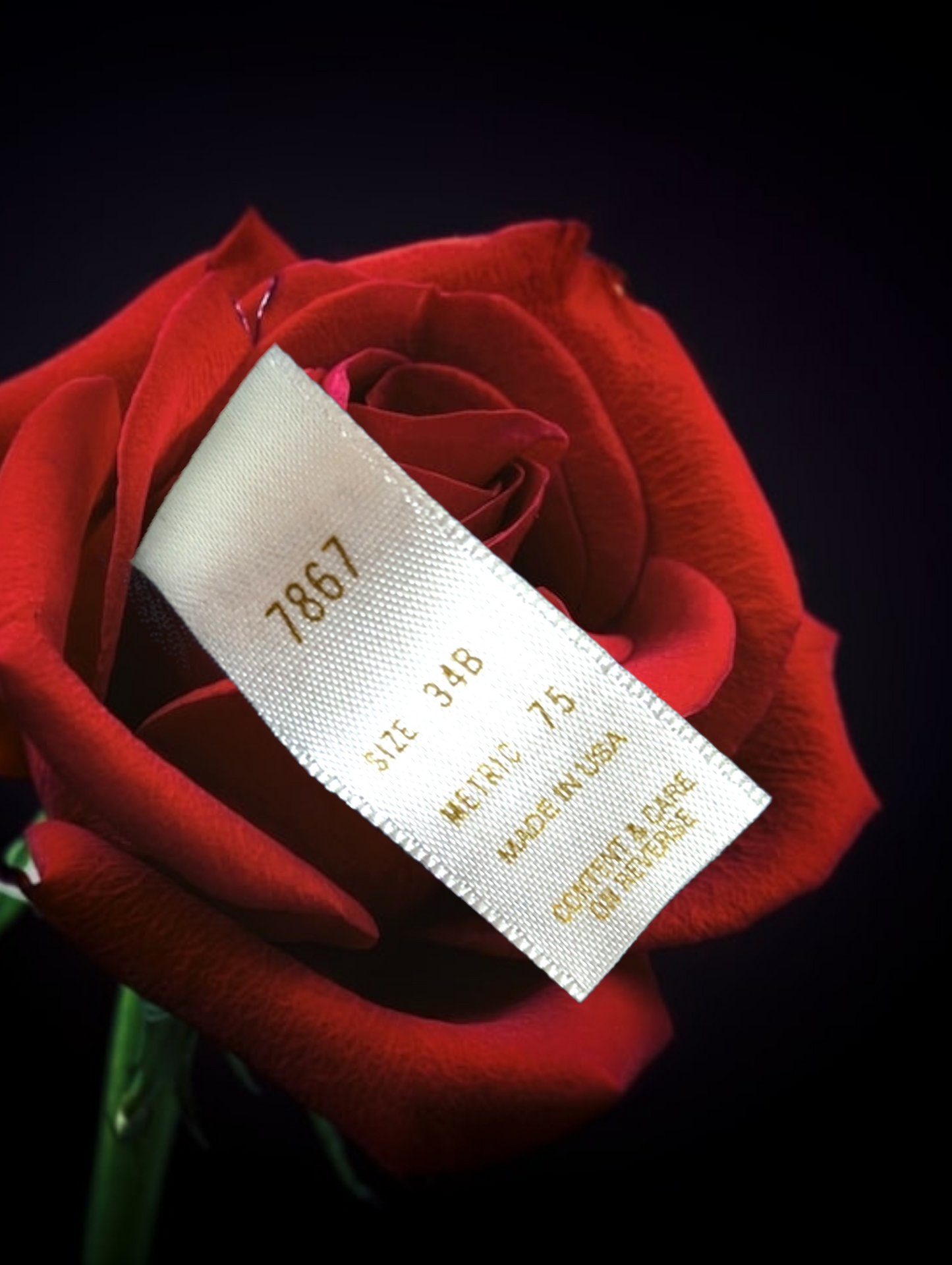 Vintage Gold Label Victoria's Secret Black Lace High Cut G-String Thong Teddy with Ribbon Bow