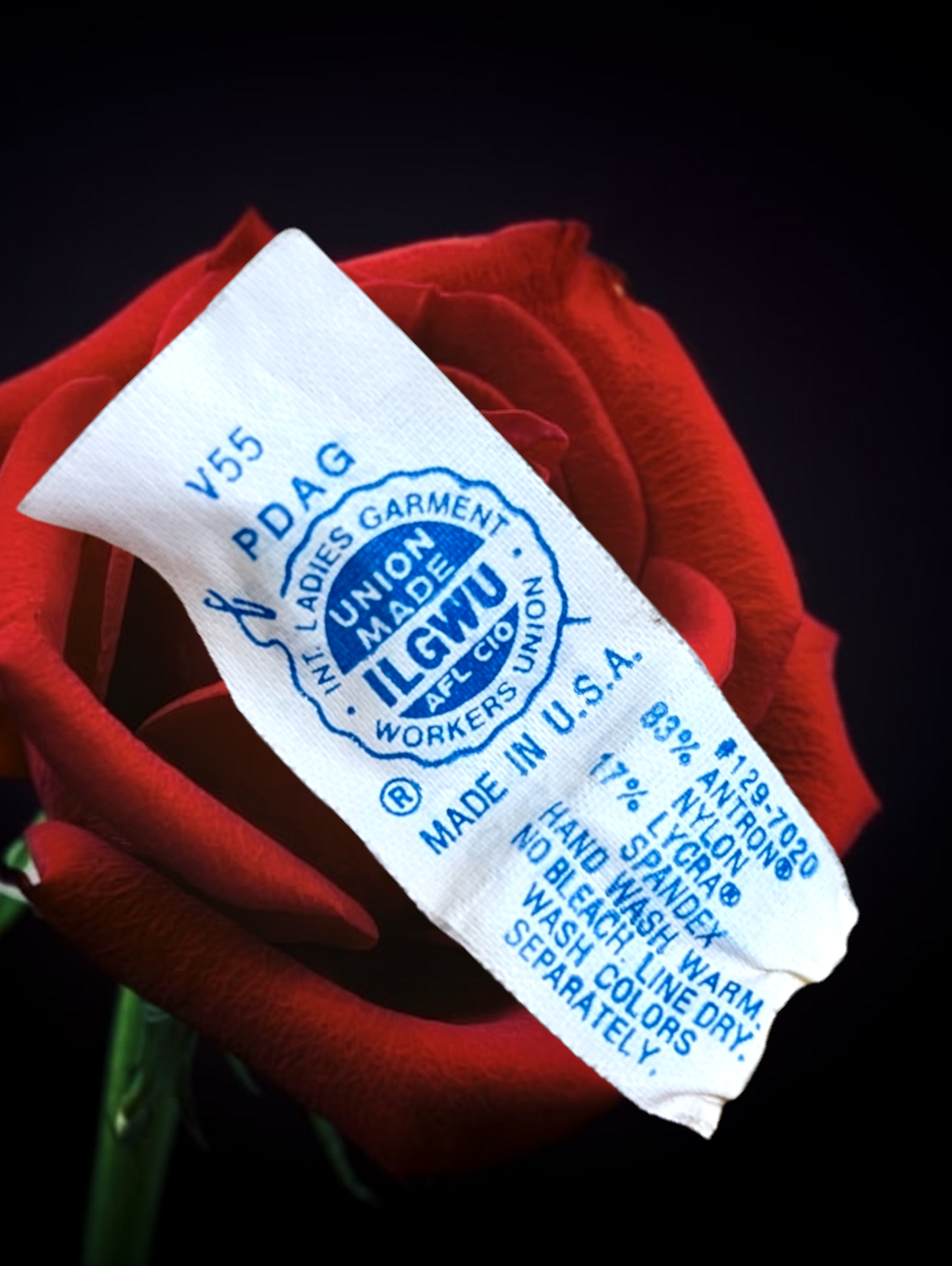 1960s Bullet Bra Style Teddy With Onesie Closure, Lace Trim and a Shiny Soft Finish