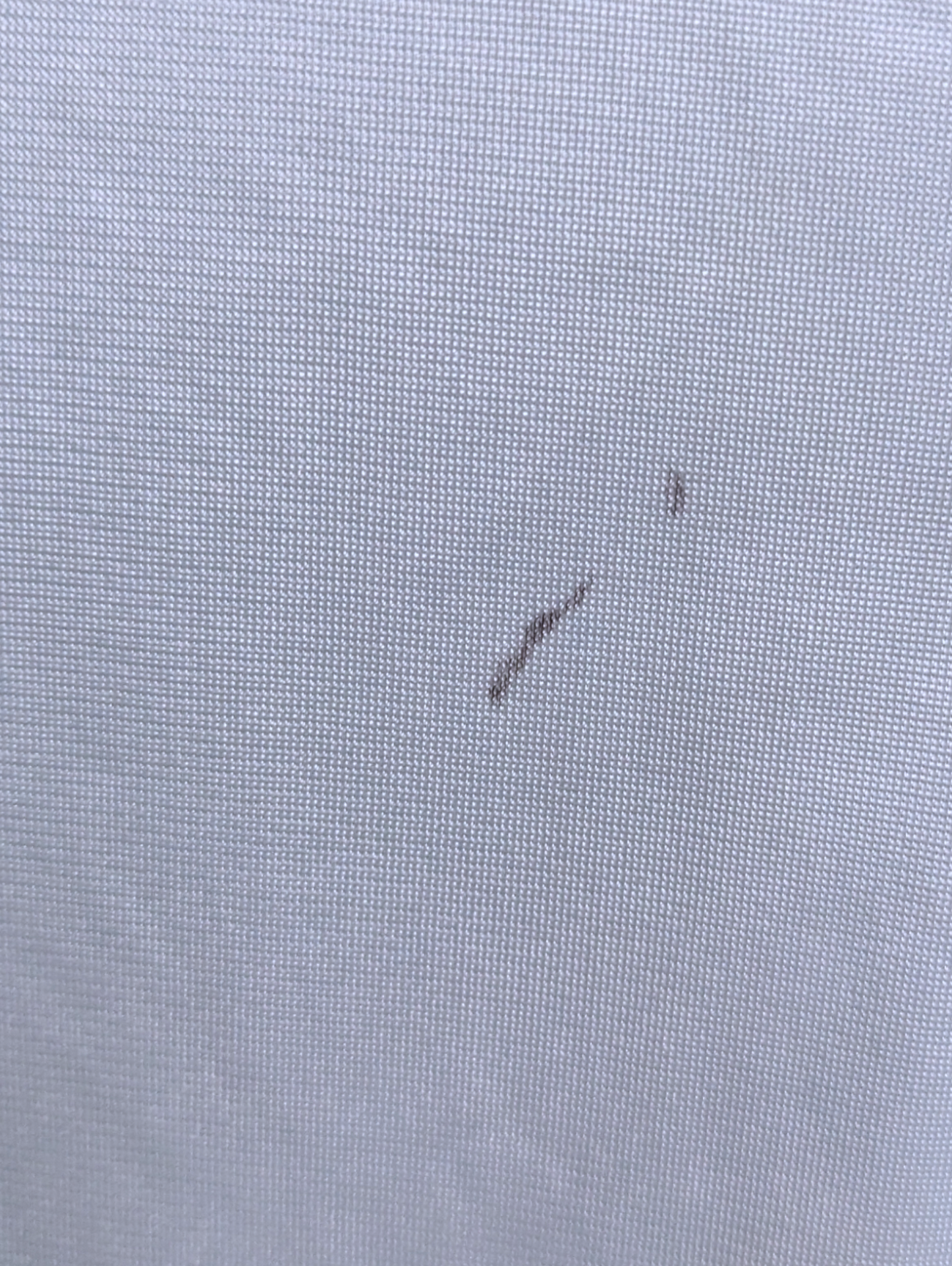 1980s Lorraine Pale Blue Embroidered Peignoir Nightgown with Floral Cross Stitch