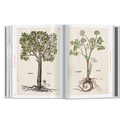 Leonhart Fuchs. The New Herbal (German, French, English)