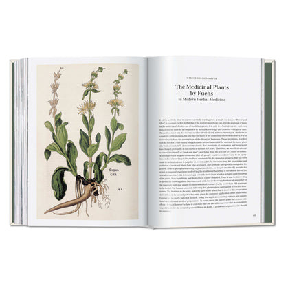 Leonhart Fuchs. The New Herbal (German, French, English)