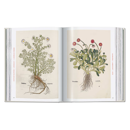Leonhart Fuchs. The New Herbal (German, French, English)