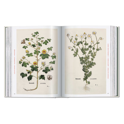 Leonhart Fuchs. The New Herbal (German, French, English)