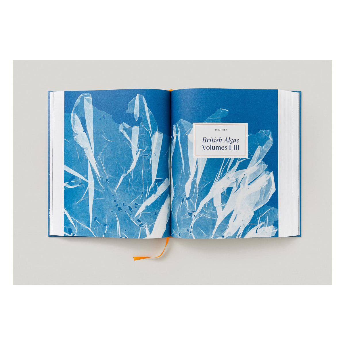 Anna Atkins. Cyanotypes (German, French, English) (FFE)