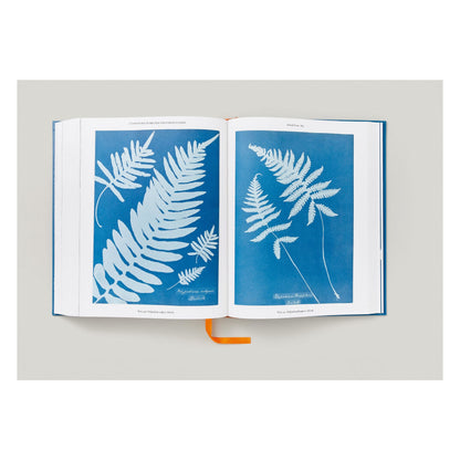 Anna Atkins. Cyanotypes (German, French, English) (FFE)