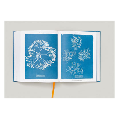 Anna Atkins. Cyanotypes (German, French, English) (FFE)