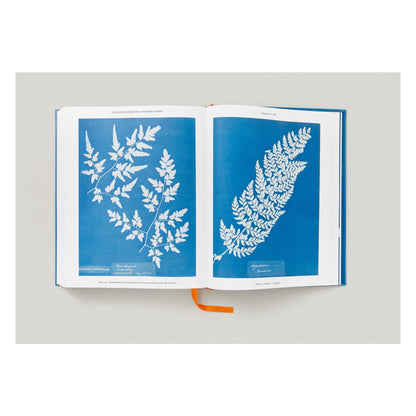 Anna Atkins. Cyanotypes (German, French, English) (FFE)